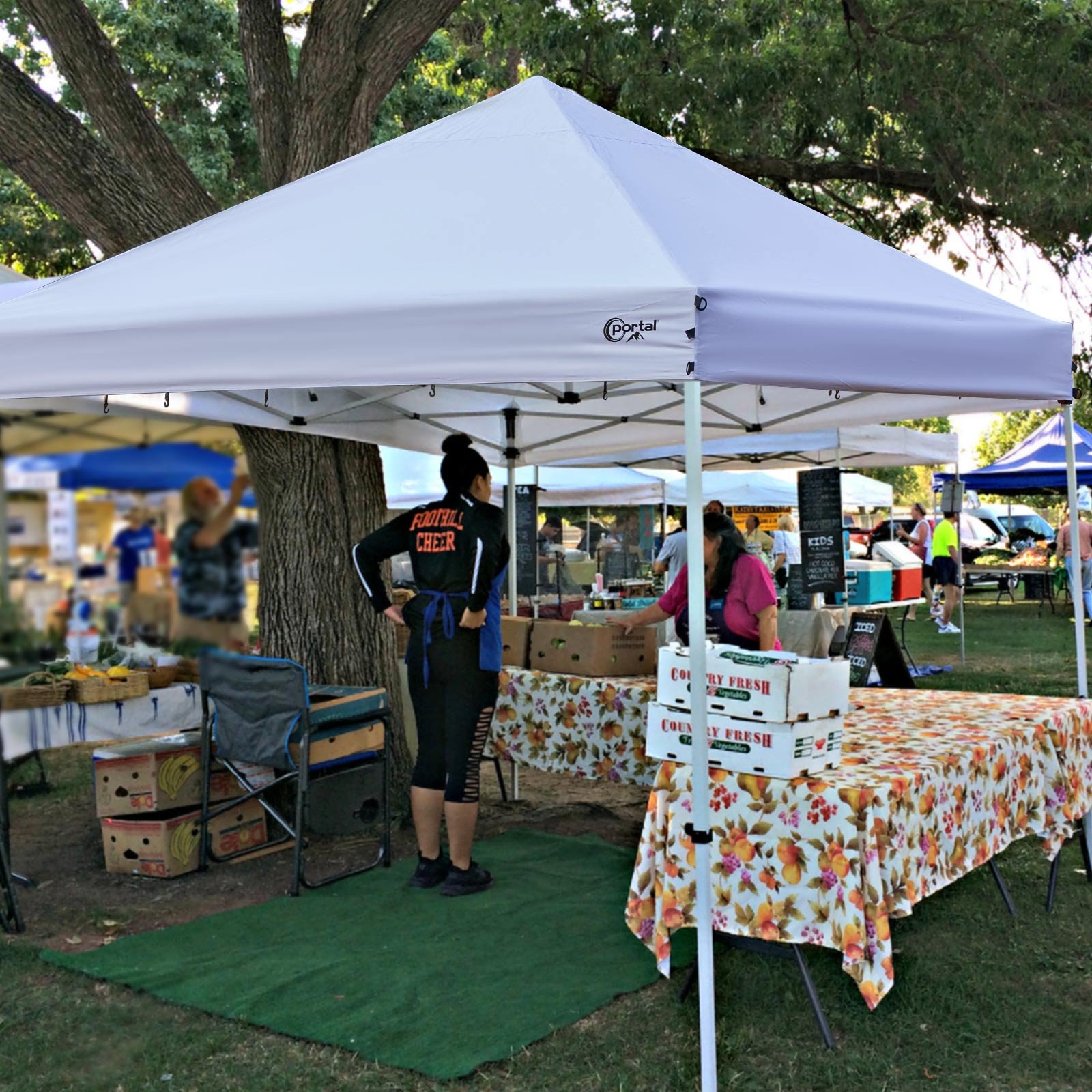 10 x 10 Pop up Canopy tent - Fire Rated